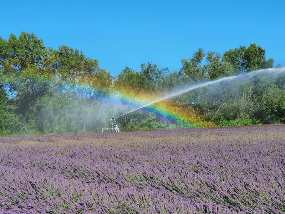 Вілла L'Ardeche En Provence Avec Jardin Ombrage Пон-Сент-Еспрі Екстер'єр фото